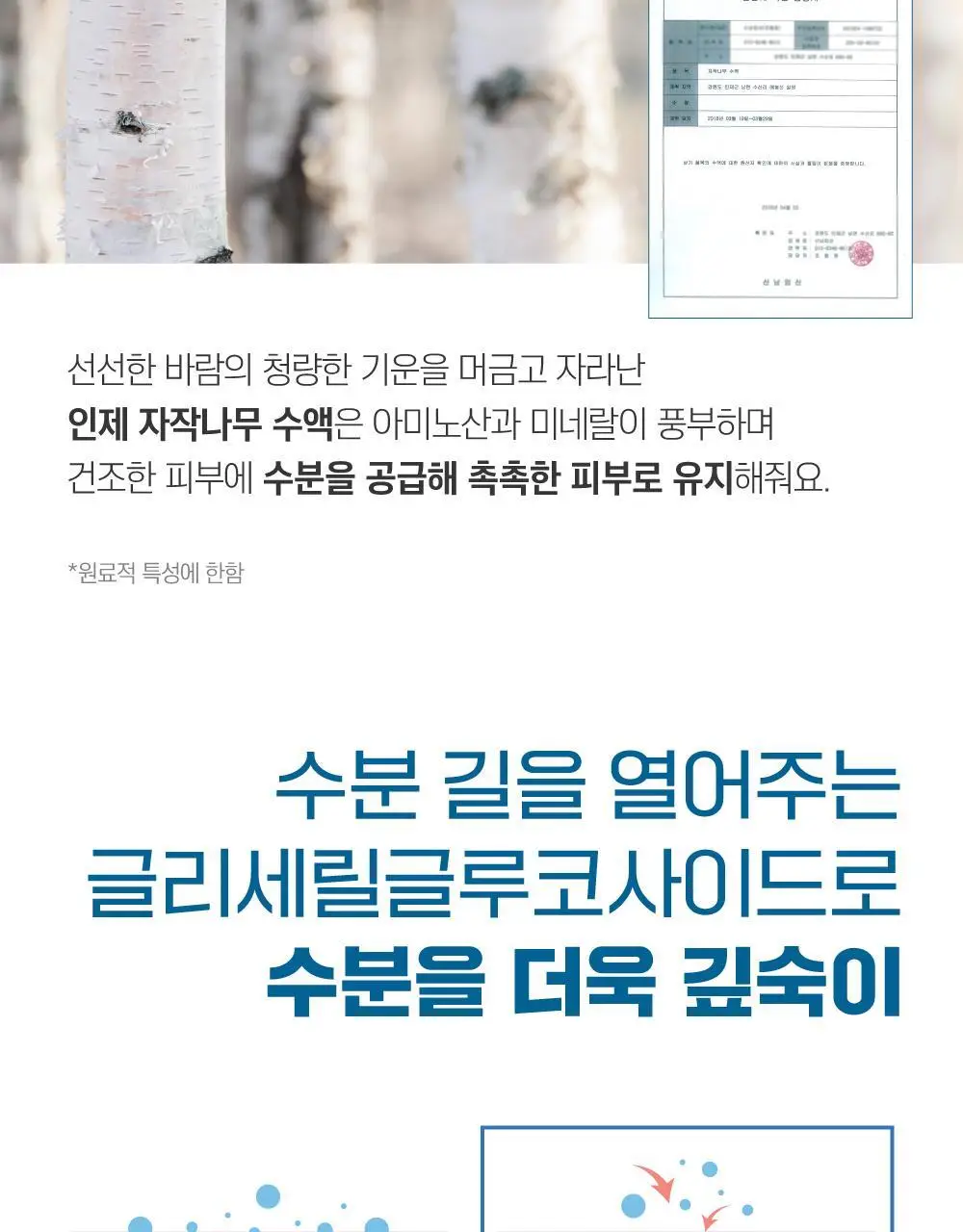 [수분생기] 라운드랩 자작나무 수분 토너 300ml 상세페이지 7